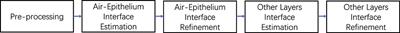 Robust and accurate corneal interfaces segmentation in 2D and 3D OCT images